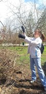 Коллектив Волгодонской городской Думы принял участие в уборке парка Победы